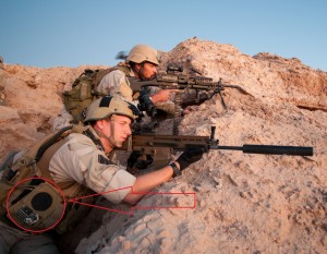 seals05z.jpg