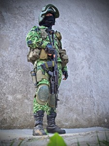 9277416.jpg