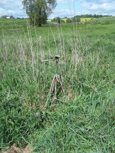 100_0453.JPG
