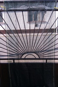 IMAG0005.jpg