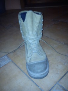 010.jpg